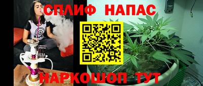 бошки Гатчина