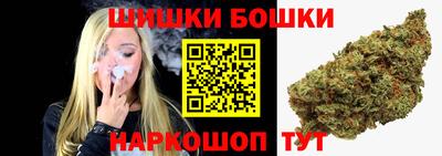 бошки Гатчина