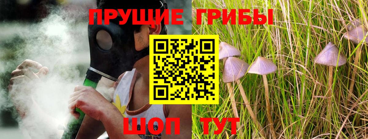 Галлюциногенные грибы Magic Shrooms Моздок