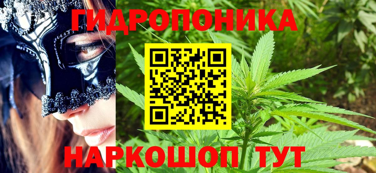 Моздок  Конопля конопля  МАРИХУАНА гибрид  Марихуана Amnesia  Вход с VPN  Каннабис VHQ 